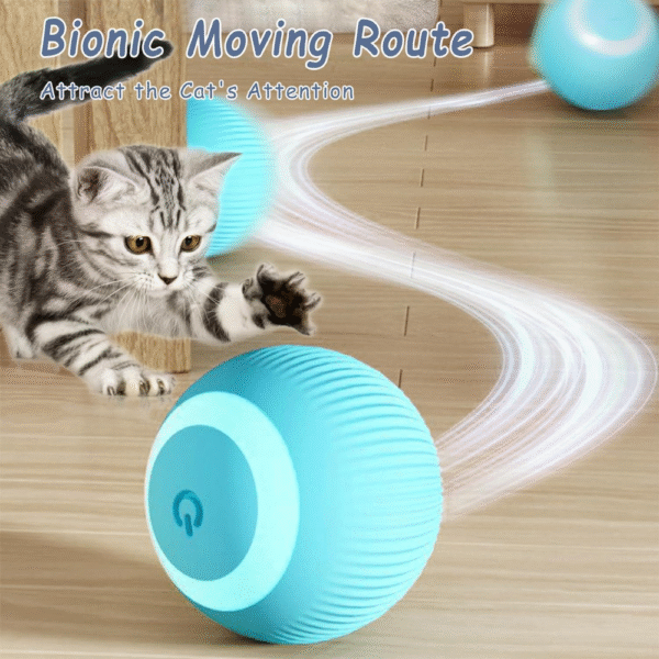 Pelota Gravitacional Inteligente Gatos